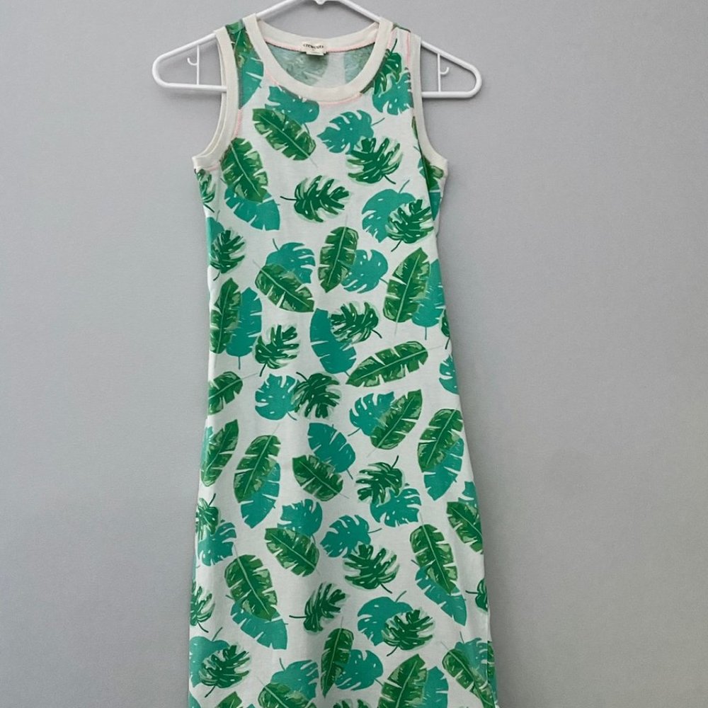 J Crew EUC Maxi Dress